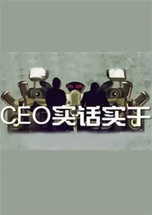 CEO实话实干 2010